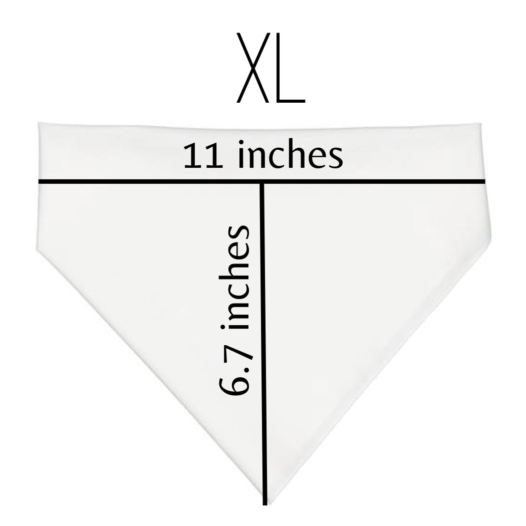 White polyester bandana